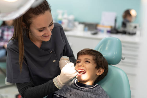 Best Emergency Dental Care for Trauma or Injury in Maeser, UT